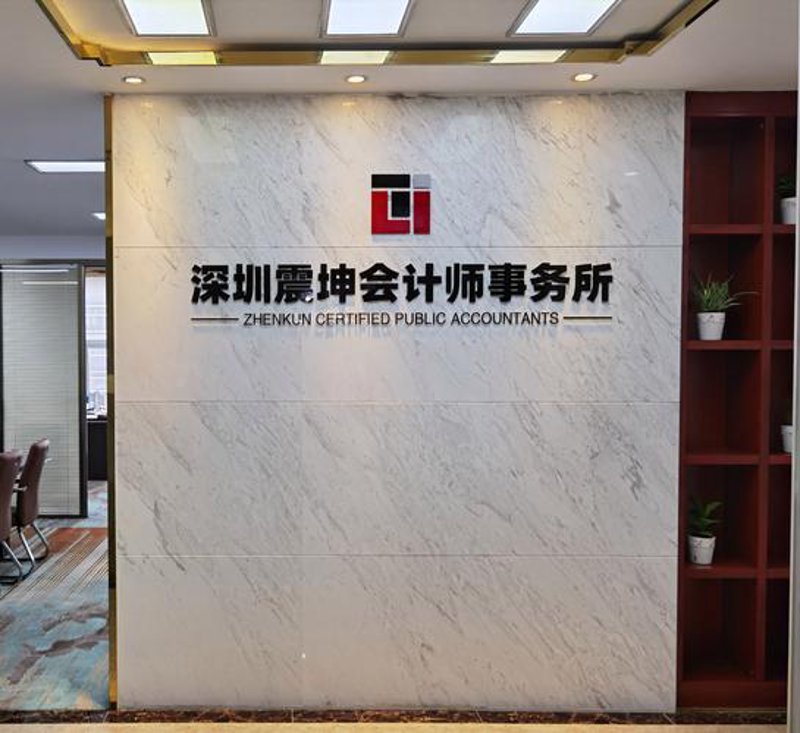 解读最新企业审计报告:透视财务健康状况